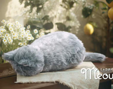 貓貓抱枕《MeowEver》幾乎就跟真貓一樣的大小重量,內藏懷爐讓你感受溫度體驗真實養貓感覺