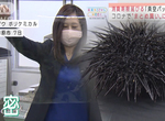 《真空包裝療癒片》超強包裝膜包鮭魚卵也不會破 海膽都能無縫貼合好舒服 《真空包裝療癒片》超強包裝膜包鮭魚卵也不會破 海膽都能無縫貼合好舒服
