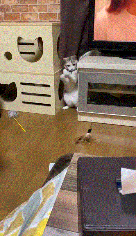 圖片2 圖片2