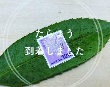 網友實驗《郵票樹葉寄信》寫好地址拿到郵局不知道櫃台會不會傻眼