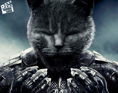 黑豹變黑貓《讓毛孩擔綱電影主角》酷帥風格瞬間變成萌死人的畫面