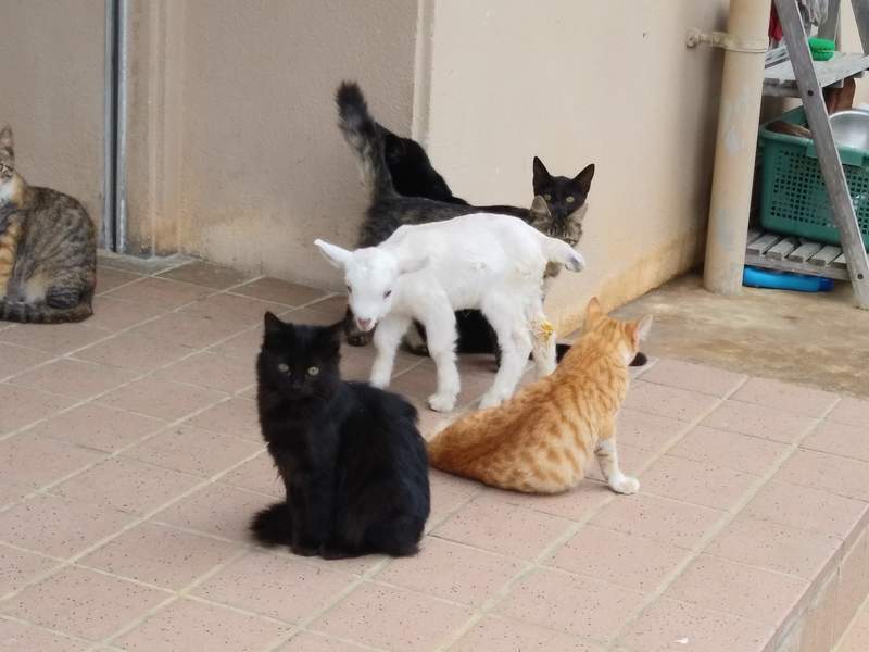 圖片3 圖片3