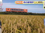 《津輕鐵道鈴蟲列車》搭車還能近距離欣賞蟲叫聲 充滿秋天風情的觀光活動迎來35周年 《津輕鐵道鈴蟲列車》搭車還能近距離欣賞蟲叫聲 充滿秋天風情的觀光活動迎來35周年