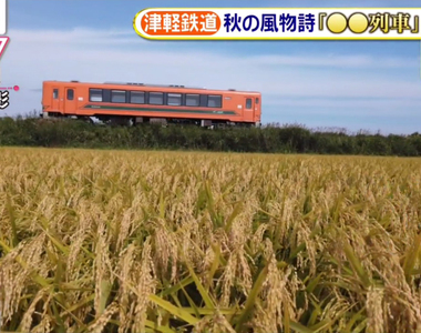 《津輕鐵道鈴蟲列車》搭車還能近距離欣賞蟲叫聲 充滿秋天風情的觀光活動迎來35周年