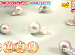 《畸形珍珠的行銷奇蹟》取名金魚珍珠立刻讓垃圾變黃金 可愛模樣深受年輕女性歡迎 《畸形珍珠的行銷奇蹟》取名金魚珍珠立刻讓垃圾變黃金 可愛模樣深受年輕女性歡迎