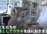 《兔子看店的便利商店》顛覆城市觀念的古怪商店 成為高齡化地區的購物綠洲  《兔子看店的便利商店》顛覆城市觀念的古怪商店 成為高齡化地區的購物綠洲