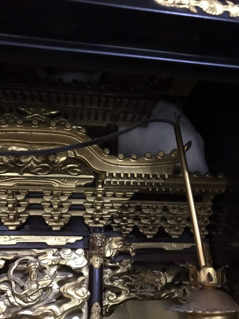圖片10 《貓咪面對搬家時的反應》飼主焦急找不到貓,結果竟然和壁櫥完全融為一體ww | 宅宅新聞