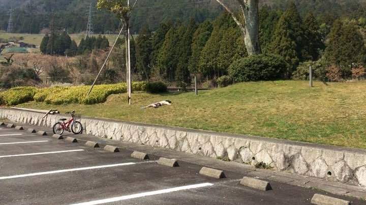 圖片2 圖片2