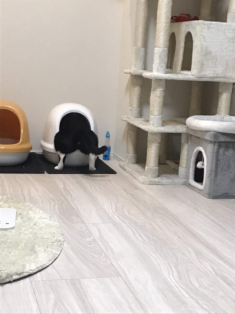 圖片2 圖片2