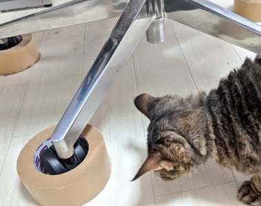 《預防椅子輪子壓到貓咪的妙招》套上膠帶輕鬆隔絕危險 漫畫家伊藤潤二掛保證超有用