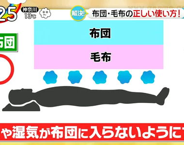 《被子的正確蓋法》被子和毯子哪個該在上？羽絨被、羊毛被、棉被、聚酯被其實各有不同