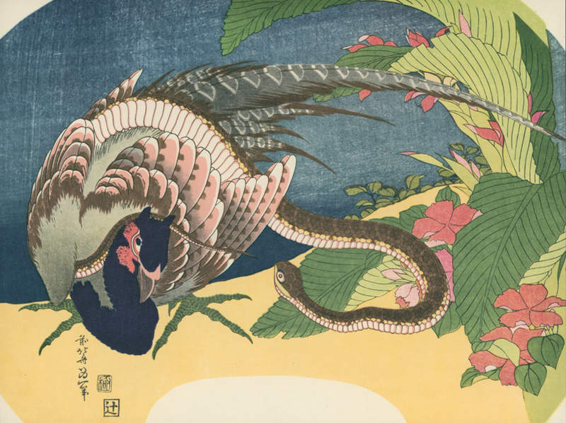 《日本網友直擊雉雞捕蛇》證實古人畫畫不是隨便畫 終於知道為什麼桃太郎要帶牠上路了 | 宅宅新聞
