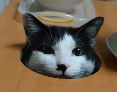 網友DIY《想要中間開洞逗貓的桌子》原本的商品太貴所以要用乾脆自己來