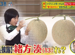 《哈密瓜冷知識》天才蔬果鑑定師教你怎麼挑才夠甜 從頭還是從屁股吃也會差很多? 《哈密瓜冷知識》天才蔬果鑑定師教你怎麼挑才夠甜 從頭還是從屁股吃也會差很多?