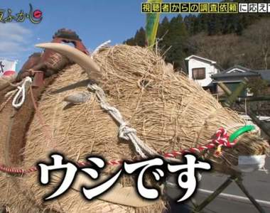 明明是牛年卻做成《野豬造型稻草人》負責表示:這就是牛啊