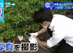 《撿垃圾專用社群軟體》跟全世界分享自己撿到什麼垃圾 大家都會感謝你為環境盡一份心力 《撿垃圾專用社群軟體》跟全世界分享自己撿到什麼垃圾 大家都會感謝你為環境盡一份心力