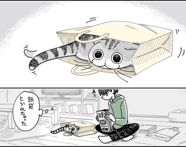 貓奴秒懂的漫畫!大量繁殖的《紙袋貓》…紙袋用時方恨少!