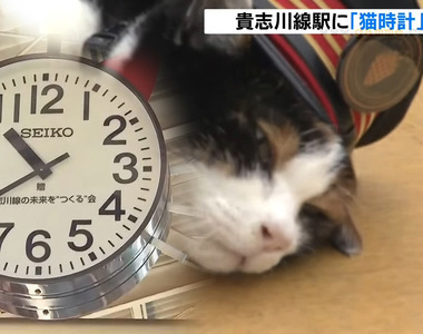 《日本第一貓時鐘揭幕》和歌山電鐵紀念小玉站長 希望可以幫助乘客打起精神喵