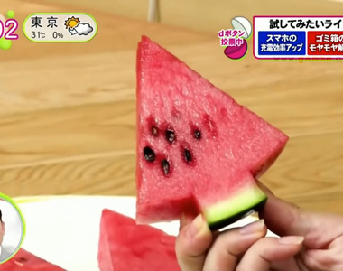 《千變萬化的西瓜切法教學》切得好就能輕鬆去除西瓜籽 你最喜歡哪一種方式呢？