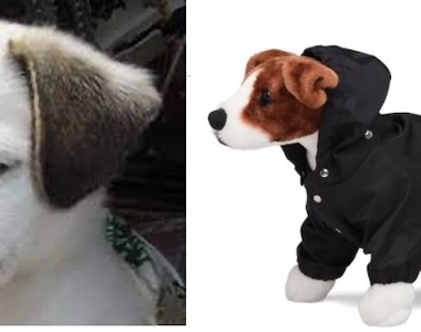 不要說比狗不如了,因為根本沒得比!Prada推出的狗雨衣可能就比人全身加起來貴,真是好狗命…