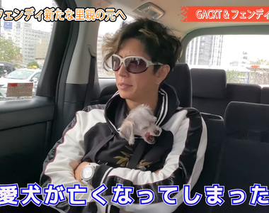 《GACKT將狗送養大炎上》贈送愛犬安慰寵物過世的朋友 挨批毫無人性太殘酷