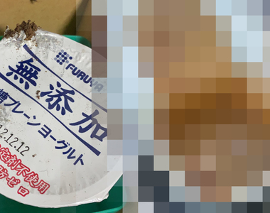 《開封9年前的優格》網友發現小學時代的收藏品 熟成的結果千萬不要邊吃飯邊看……