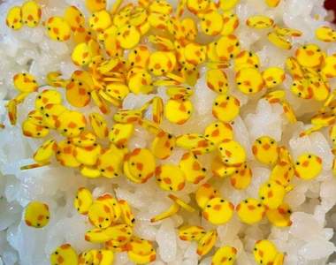 虐殺系美食《雞蛋鰹魚魚鬆》大口大口吃飯也可以有無雙割草的感覺!?