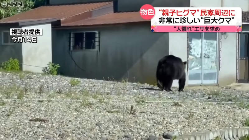《〇月〇日這裡有大便》在北海道看見這種訊息先別笑 其實是警告你棕熊出沒別逗留 | 宅宅新聞