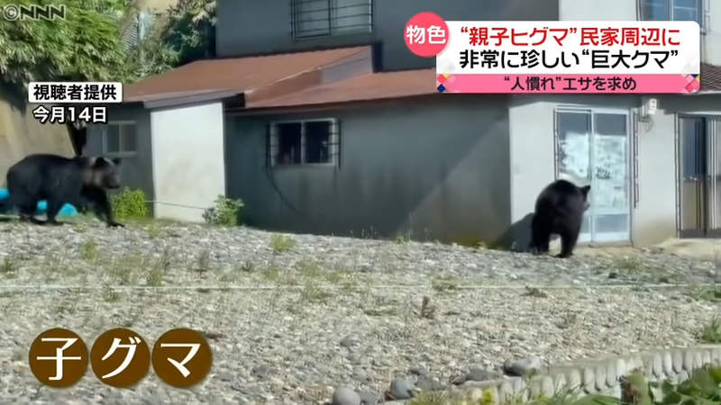《〇月〇日這裡有大便》在北海道看見這種訊息先別笑 其實是警告你棕熊出沒別逗留 | 宅宅新聞