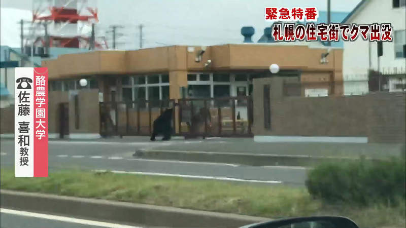 《北海道札幌不平靜的一天》有熊出沒又有全裸男逛大街 你覺得遇到哪一邊比較可怕呢？ | 宅宅新聞