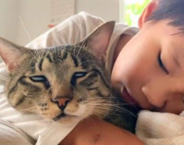 良好的互動《翻白眼的貓貓》不知道這是舒服還是無語到極點的表情?