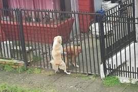 嘴角失守《很難忍住不笑的GIF》才第一張gif就笑出來，我是不是真的很廢啊