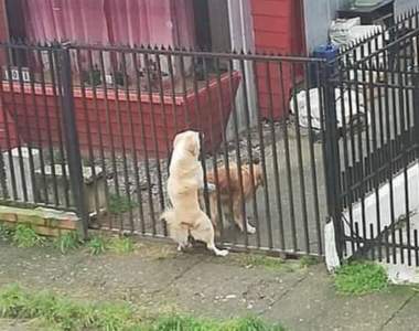 嘴角失守《很難忍住不笑的GIF》才第一張gif就笑出來，我是不是真的很廢啊