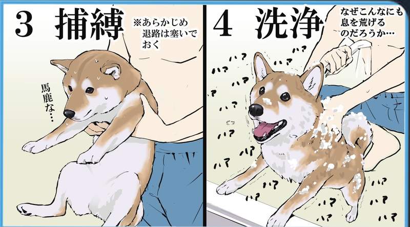 繪師描繪《預防針接種柴柴》維妙維肖的畫風把狗狗畫得超級生動 | 宅宅新聞