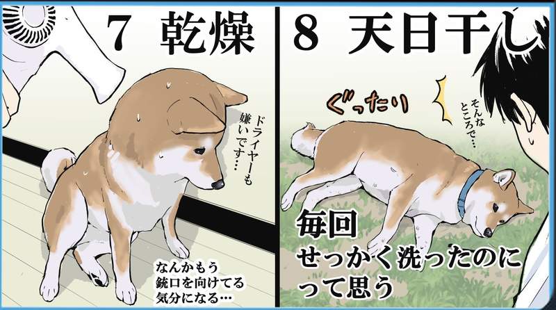 繪師描繪《預防針接種柴柴》維妙維肖的畫風把狗狗畫得超級生動 | 宅宅新聞