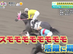 《SUMOMOMOMOMOMOMOMO》日本奇葩名字賽馬首度奪勝 播報員被迫挑戰繞口令 《SUMOMOMOMOMOMOMOMO》日本奇葩名字賽馬首度奪勝 播報員被迫挑戰繞口令