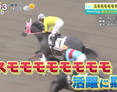 《SUMOMOMOMOMOMOMOMO》日本奇葩名字賽馬首度奪勝 播報員被迫挑戰繞口令
