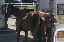 嘴角失守《很難忍住不笑的GIF》馬表示：母湯喔~警告你我是吃草的別捅我