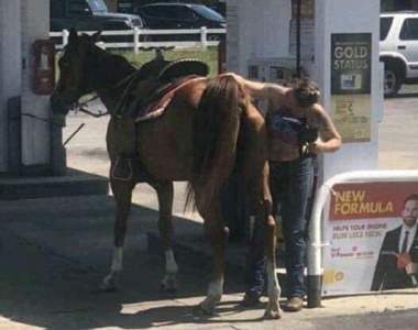 嘴角失守《很難忍住不笑的GIF》馬表示：母湯喔~警告你我是吃草的別捅我