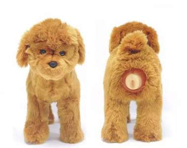 突破盲腸《狗狗飛機杯》終於到了汪星人都可以用杯杯爽的時代了嗎