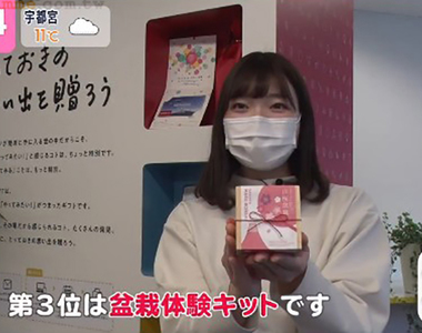 《疫情下爆紅的3大體驗組》種盆栽、玩煙燻 不用出門也能享受療癒小宇宙