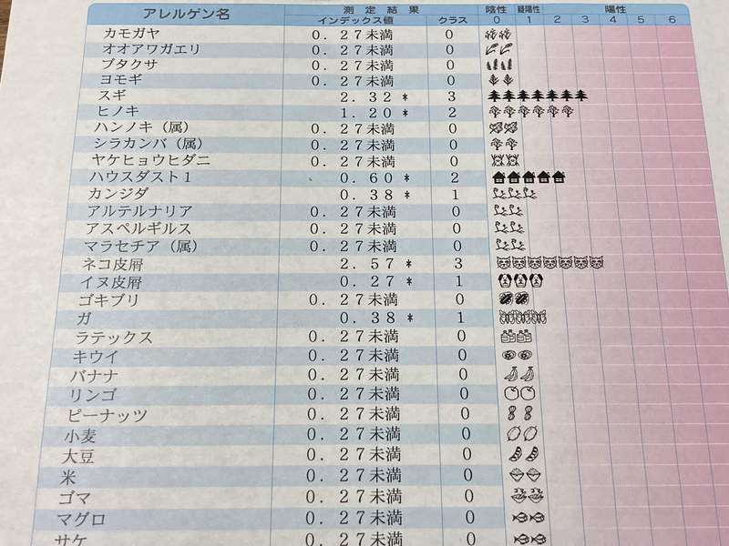 圖片5
