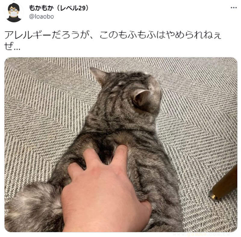 圖片9