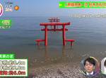 《泡在海裡的神社》大魚神社海中鳥居形成獨特美景 參拜之前一定要查好當天的潮汐 《泡在海裡的神社》大魚神社海中鳥居形成獨特美景 參拜之前一定要查好當天的潮汐
