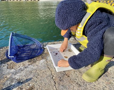 《4歲小孩發現新種蝦子》收到一個讚爸爸就給一圓獎勵 日本網友狂讚短短一天就破46萬