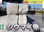 《話題燒賣雕像發生奇妙變化》有人開始供奉香油錢和醬油瓶?電視台蹲點調查真相大白 《話題燒賣雕像發生奇妙變化》有人開始供奉香油錢和醬油瓶?電視台蹲點調查真相大白