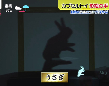 《爆紅動物手影扭蛋》綜藝節目試玩話題扭蛋玩具 棚內來賓直呼既懷念又療癒