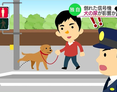 《狗狗尿尿腐蝕紅綠燈》日本警察研究震驚各界 獸醫呼籲在家排泄有助於掌握寵物健康