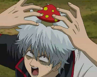 《我家長出蘑菇了》日本防水協會舉辦創意攝影比賽 讓大家看看不處理漏水的下場