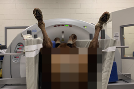 《不尊重基本的馬權》獸醫讓馬W字開腿照CT 被罵散播猥褻圖片爆發議論